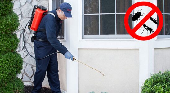 Kepez Karınca İlaçlama böcek ilaçlama ve haşere kontrolü — ilaclama-tr.com